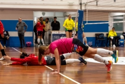 dic_6456.webp