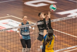 dic_6853.webp