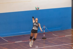 dic_6891.webp