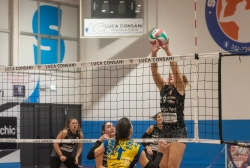 dic_6942.webp