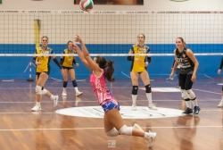 dic_7016.webp