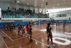 img_20251130_150242.webp