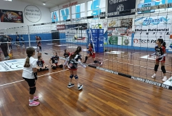 img_20251130_155154.webp