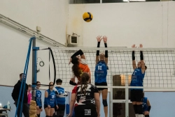 dic_1218.webp