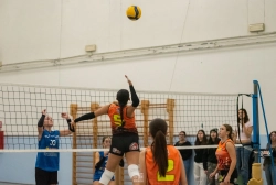 dic_1265.webp