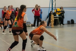dic_1284.webp