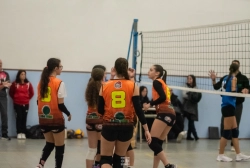 dic_1297.webp