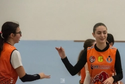 dic_1317.webp