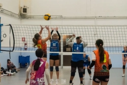 dic_1373.webp