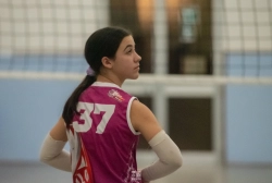 dic_1379.webp