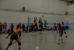 dic_1395.webp