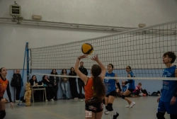 dic_1404.webp