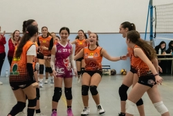 dic_1409.webp