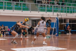 dic_1560.webp