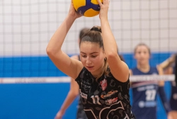 dic_1690.webp