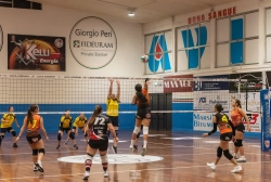 dic_2434.webp