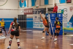 dic_2436.webp