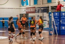 dic_2439.webp