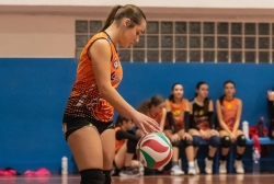 dic_2455.webp