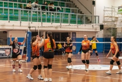 dic_2466.webp