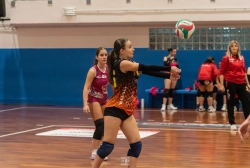 dic_2627.webp
