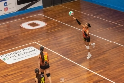 dic_2634.webp