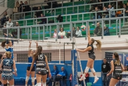 s3f_6170.webp