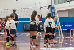 s3f_6580.webp