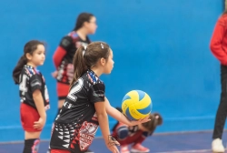 s3f_6597.webp