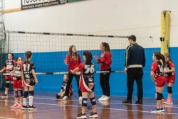 s3f_6625.webp