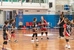 s3f_6667.webp