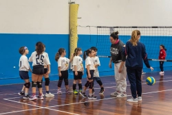 s3f_6683.webp