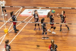 s3f_6739.webp