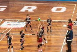 s3f_6744.webp