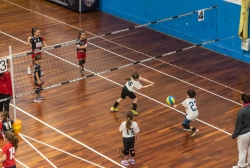 s3f_6752.webp