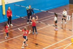 s3f_6767.webp