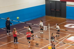 s3f_6769.webp