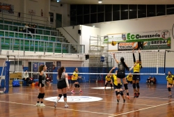 11111111114.webp