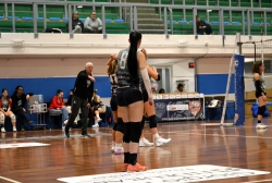 222221.webp