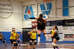 22554.webp