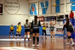 2365.webp