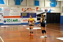 4445.webp