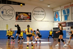 44512.webp