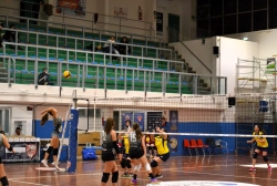 55487.webp
