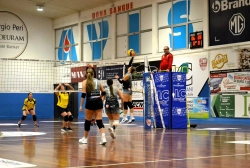 55521.webp