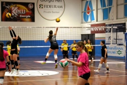 555562.webp