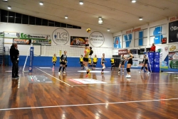 55632.webp