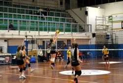 563254.webp