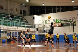 5654.webp