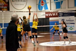 78569.webp